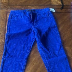 Joe's Jeans Royal Blue Textured Pants